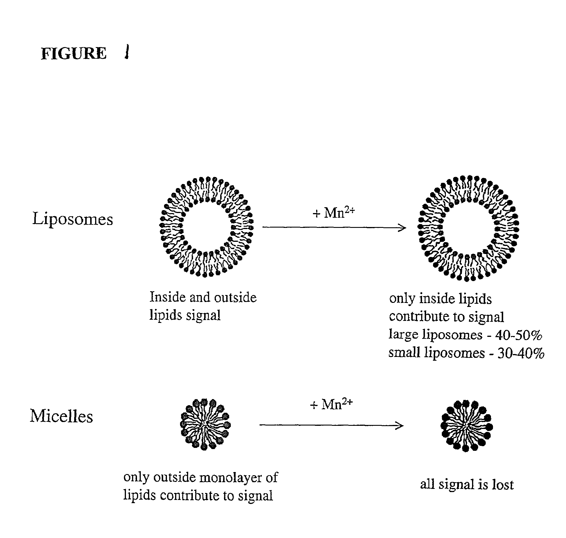 Drug delivery system for hydrophobic drugs