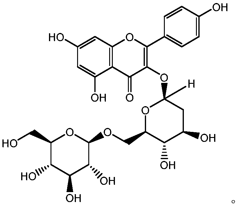 Preparation method of Sauropus spatulifolius total flavonoids