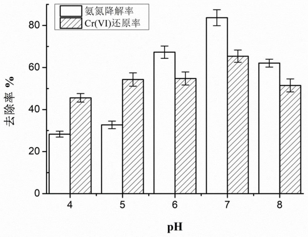 Marine nitrobacterium, preparation method therefor and application of marine nitrobacterium