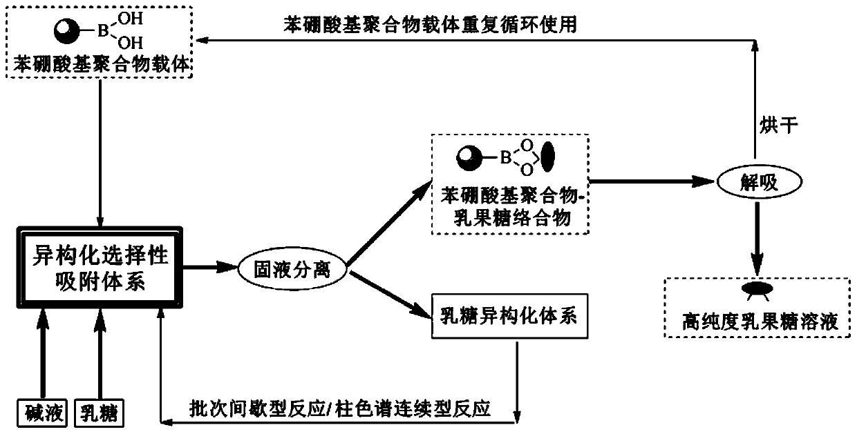 Method for preparing, separating and purifying lactulose by directionally assisting lactose isomerization by using phenylboronic acid-based carrier