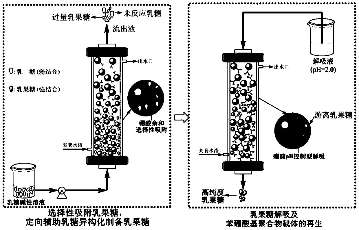 Method for preparing, separating and purifying lactulose by directionally assisting lactose isomerization by using phenylboronic acid-based carrier