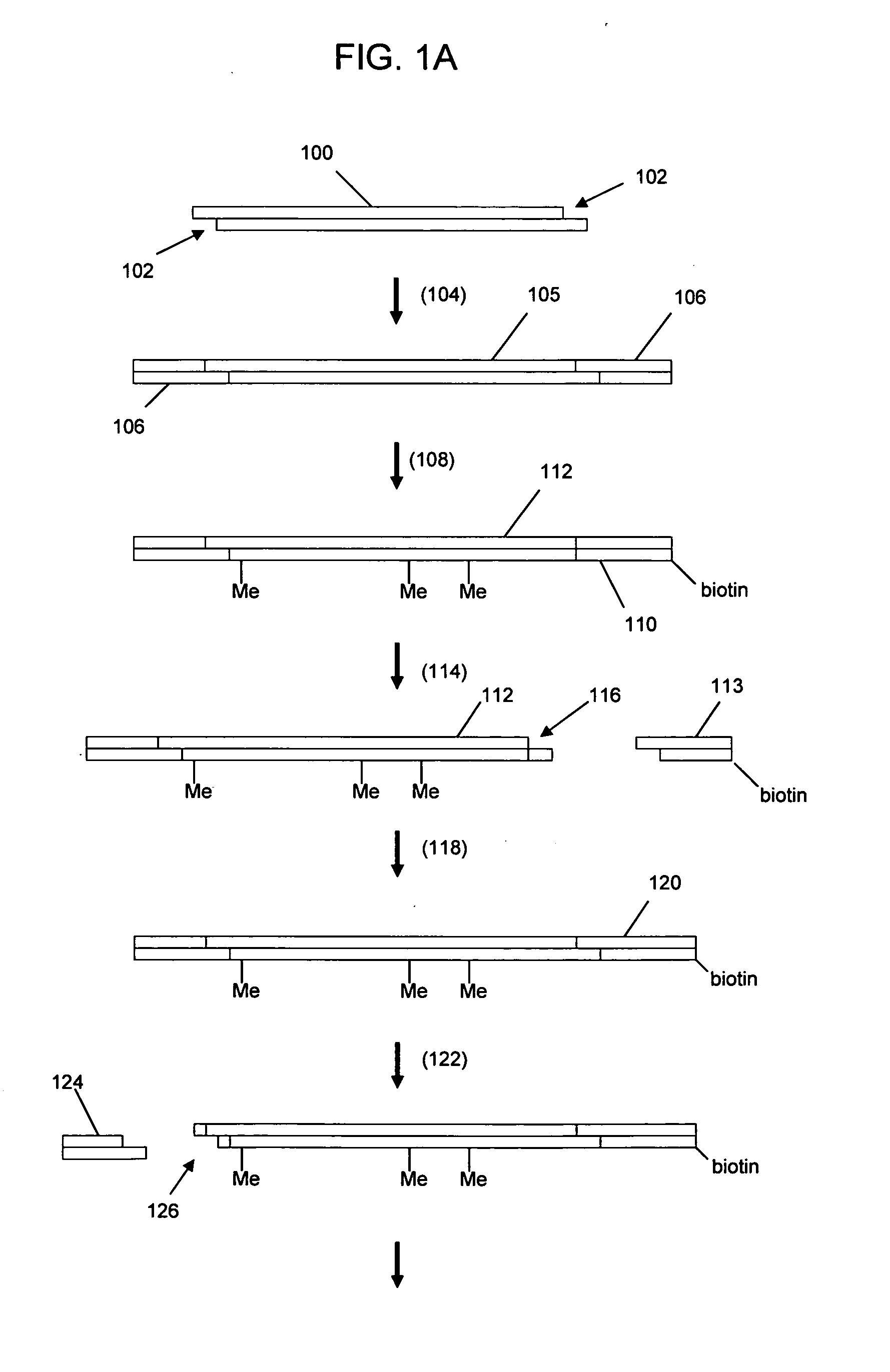 Nucleic acid analysis using sequence tokens