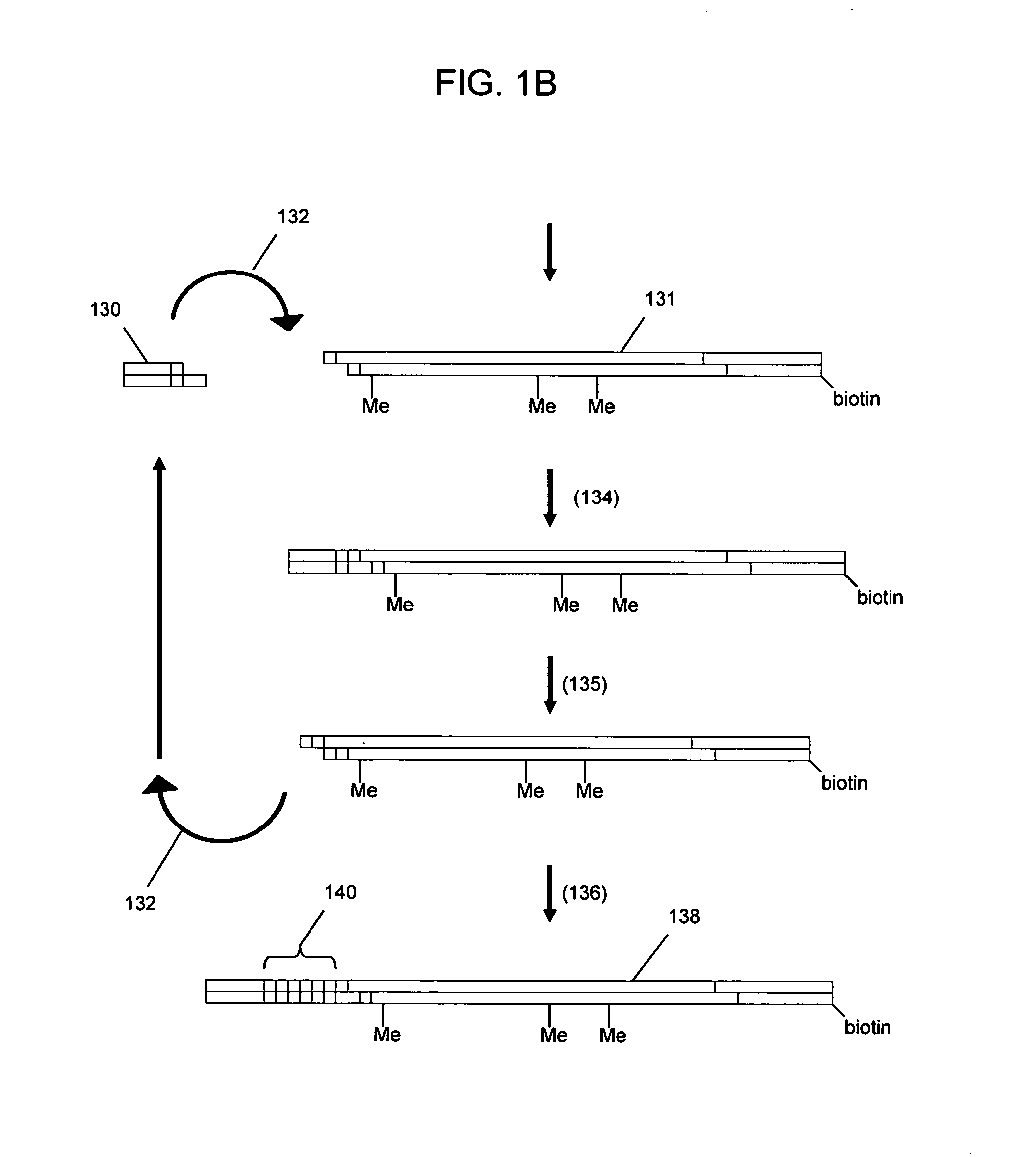 Nucleic acid analysis using sequence tokens