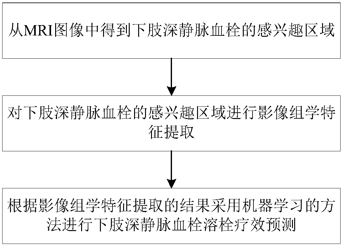 A lower limb deep venous thrombosis thrombolysis curative effect prediction method and system based on machine learning