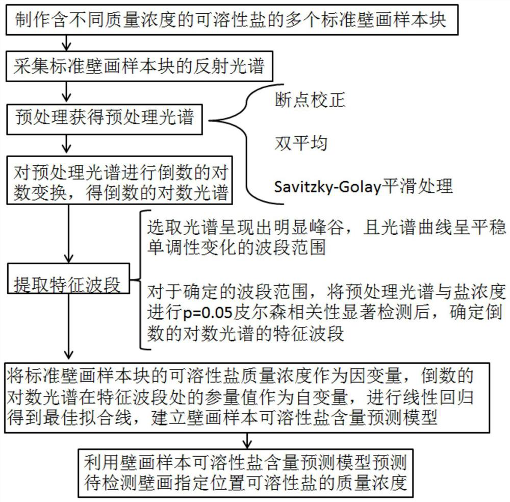 Mural soluble salt content detection method based on reflection spectrum