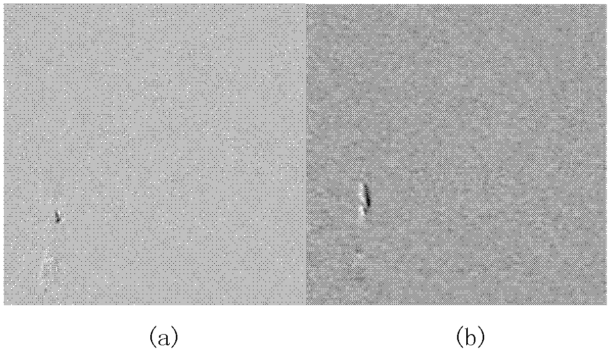 Video image fusion performance evaluation method based on structure similarity and human vision