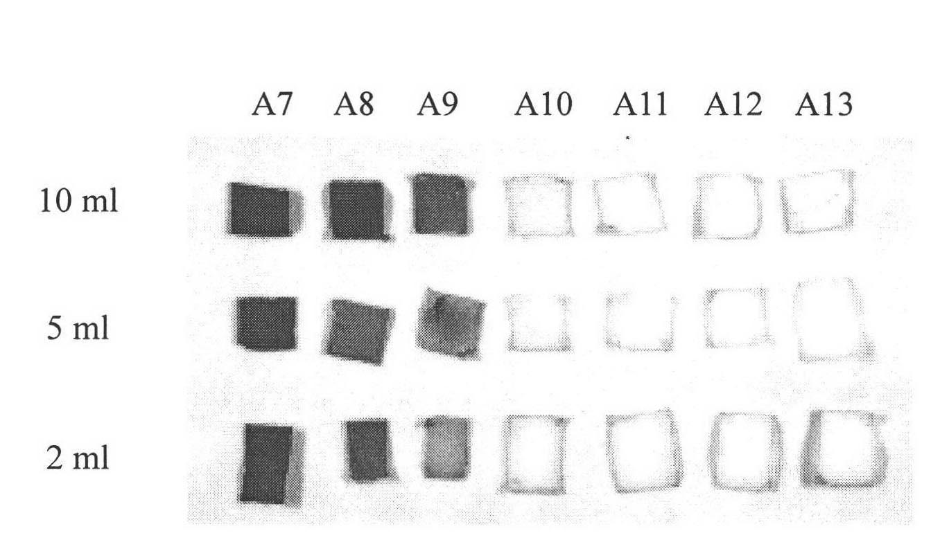 Method for detecting trace protein of Chinese medicine injection