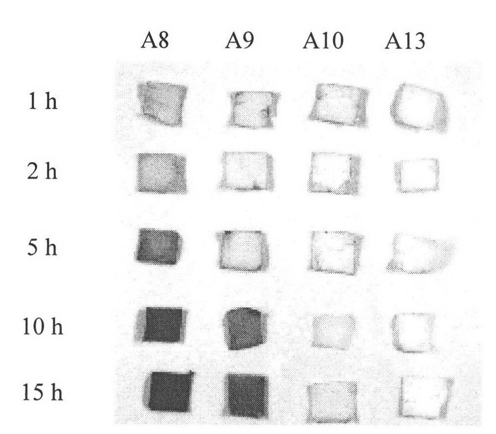 Method for detecting trace protein of Chinese medicine injection