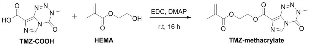 Temozolomide nanoprodrug micelle and preparation method and application thereof