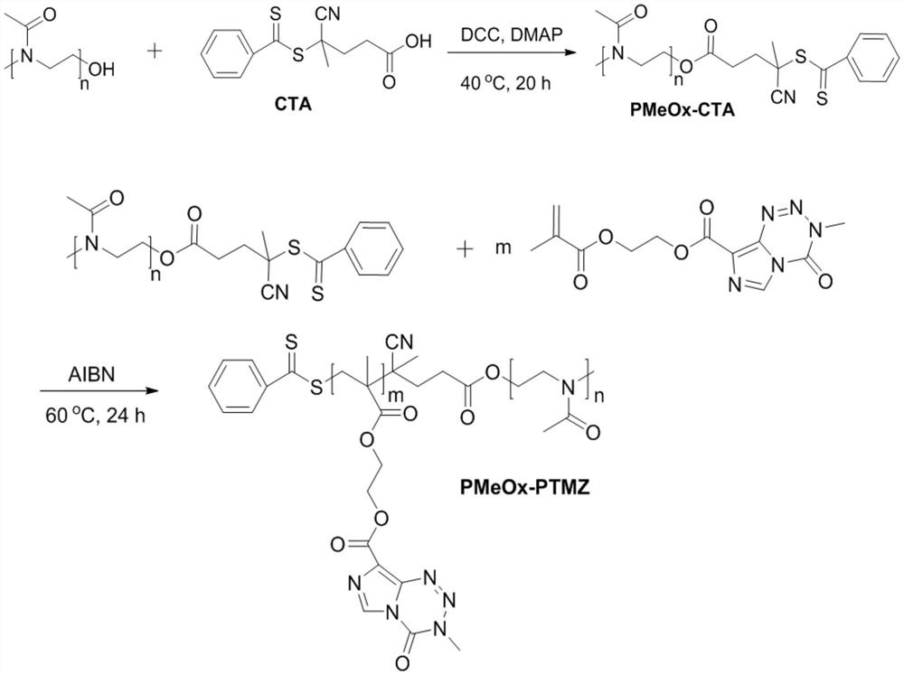 Temozolomide nanoprodrug micelle and preparation method and application thereof