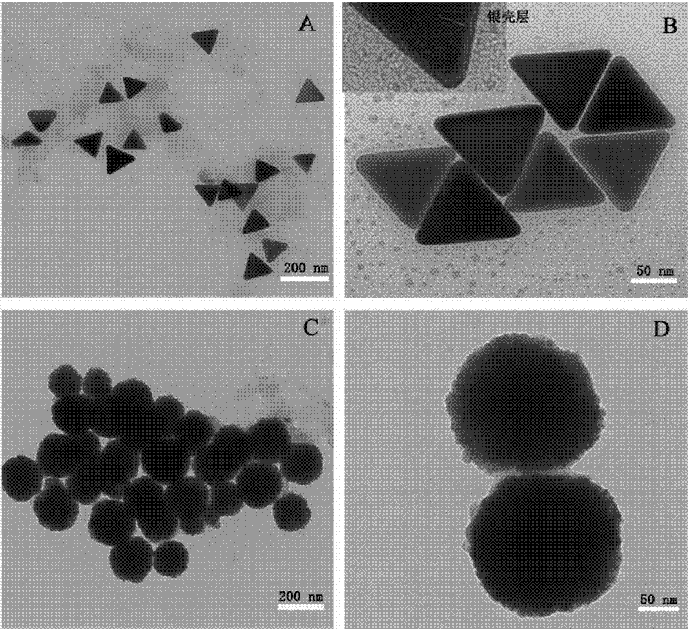 Detection method for mycotoxin based on aptamer-modified gold@DTNB@silver nanotriangle