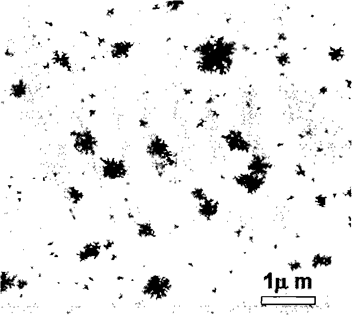 Dendritic golden nanophase material and preparation method thereof