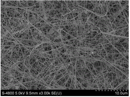 Preparation of zn-doped p-type β‑ga by chemical vapor deposition  <sub>2</sub> o  <sub>3</sub> nanowire approach