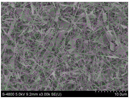 Preparation of zn-doped p-type β‑ga by chemical vapor deposition  <sub>2</sub> o  <sub>3</sub> nanowire approach