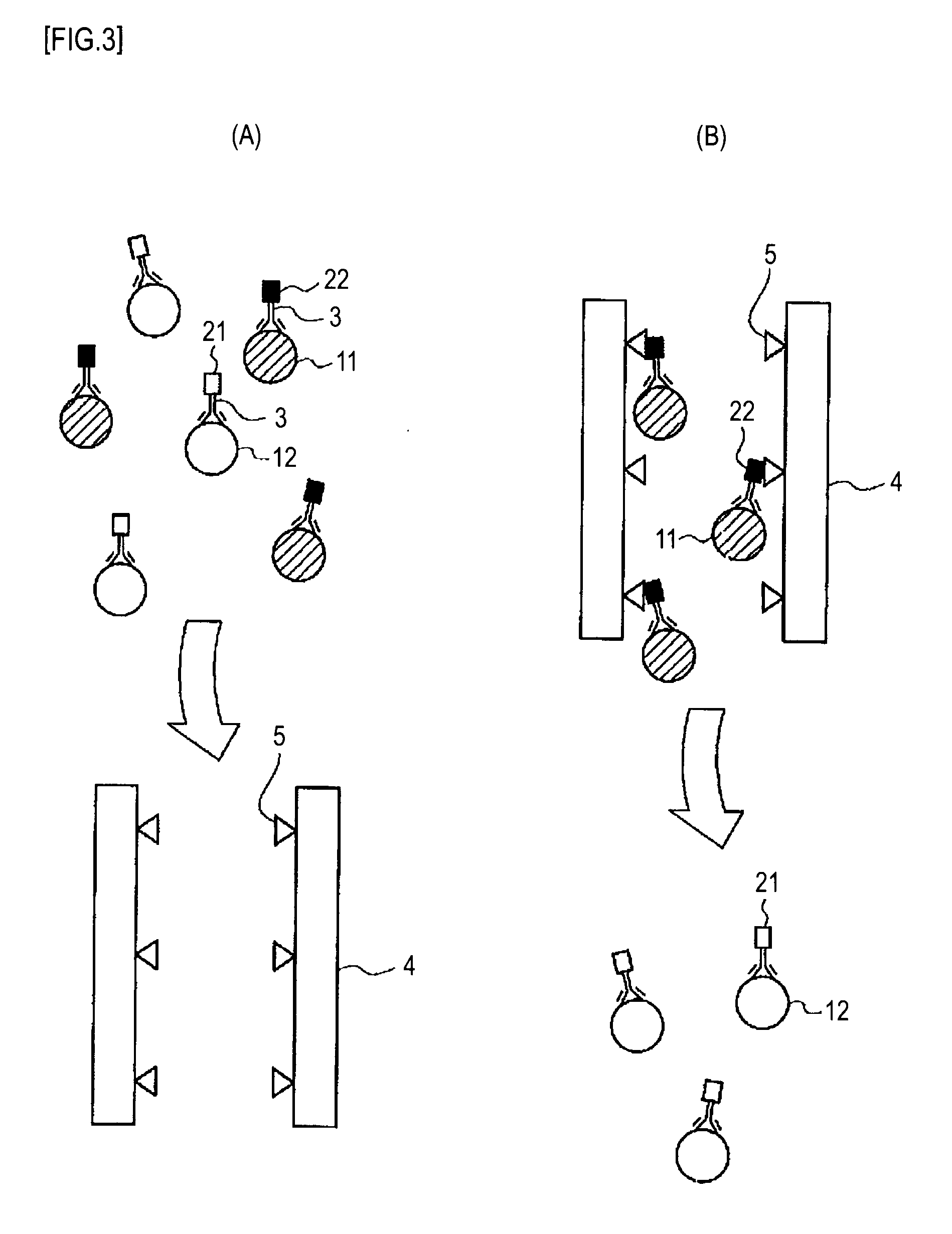 Cell separating method