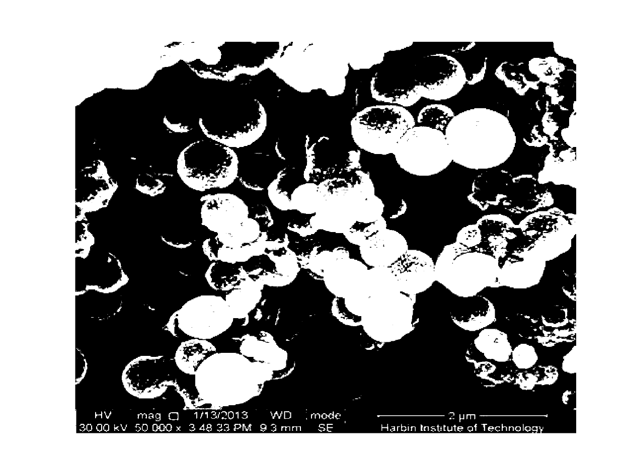 Preparation method of core-shell structure magnetic nano-molecular imprinting polymer for separating starch polysaccharides