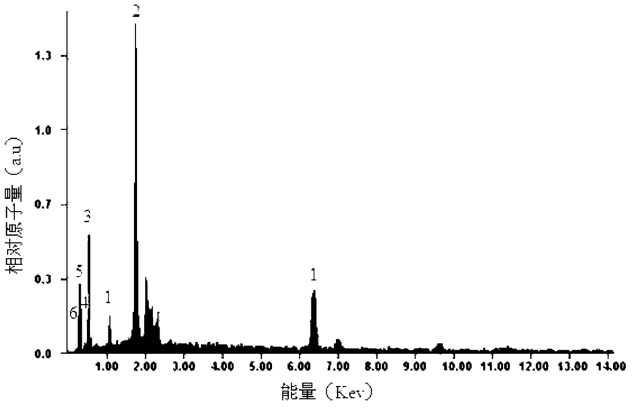 Preparation method of core-shell structure magnetic nano-molecular imprinting polymer for separating starch polysaccharides