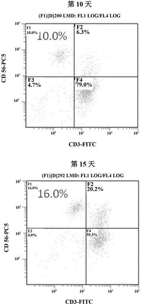 Culturing method of NK (natural killer) cell