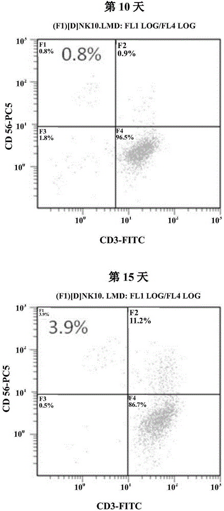 Culturing method of NK (natural killer) cell