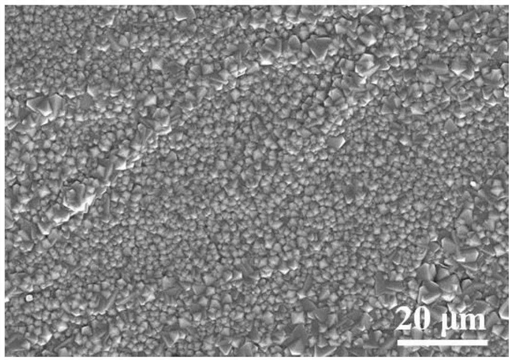 Preparation method and application of metal organic framework MOF-808 film-based functional sandwich material