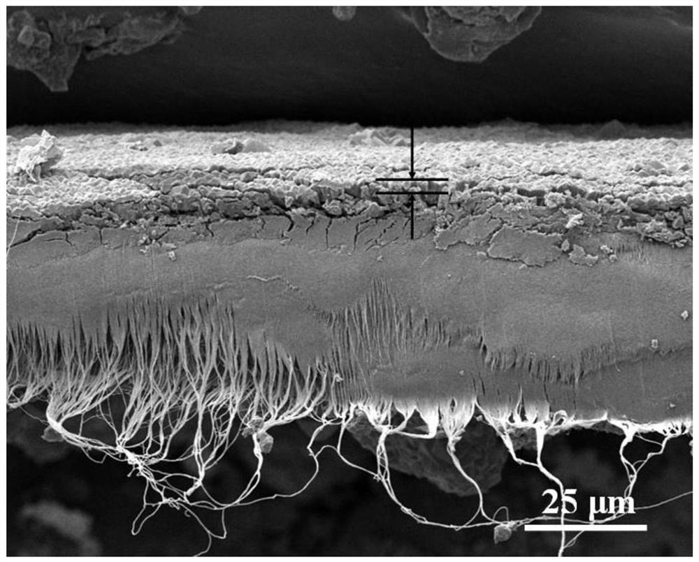 Preparation method and application of metal organic framework MOF-808 film-based functional sandwich material