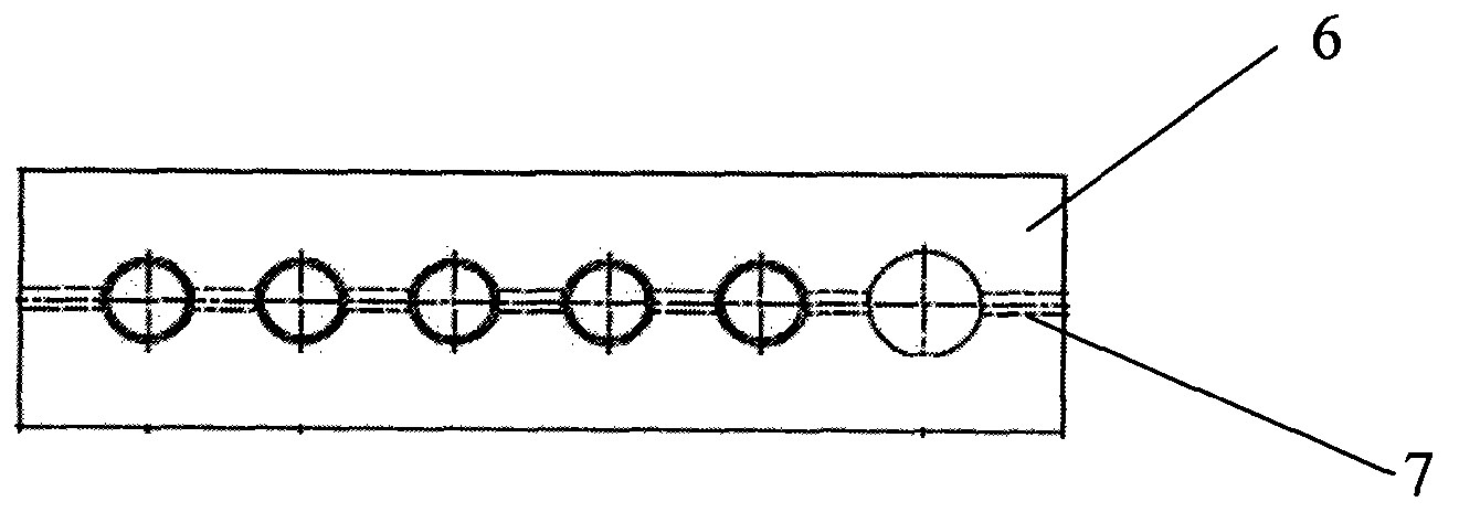 Rotary type biological sensor detection device and method