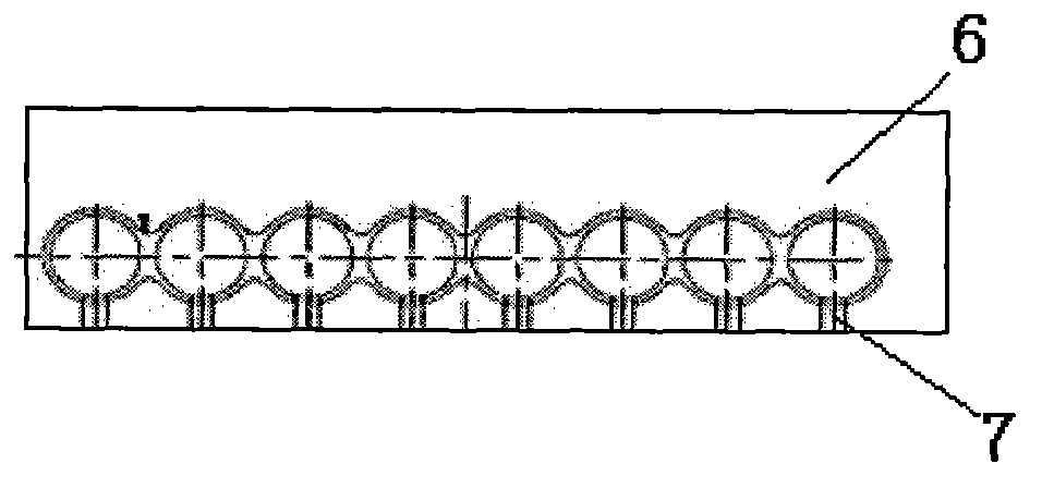 Rotary type biological sensor detection device and method