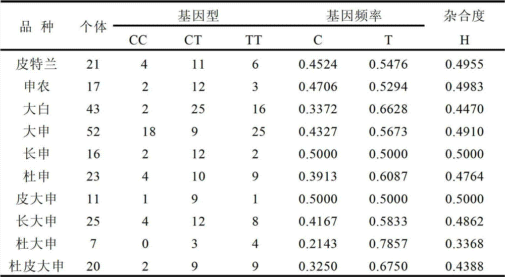 SNP molecular marker in porcine SNCG gene for tracing and detection method thereof