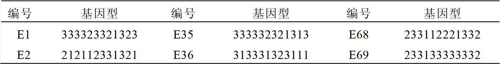 SNP molecular marker in porcine SNCG gene for tracing and detection method thereof