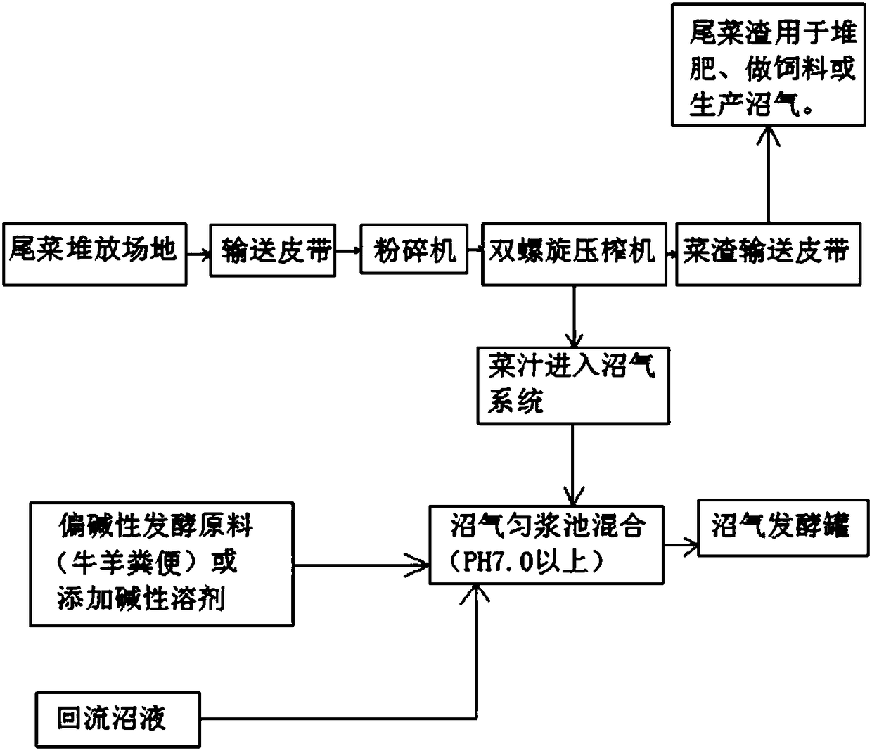 Tail vegetable utilization technology applicable to large biogas project