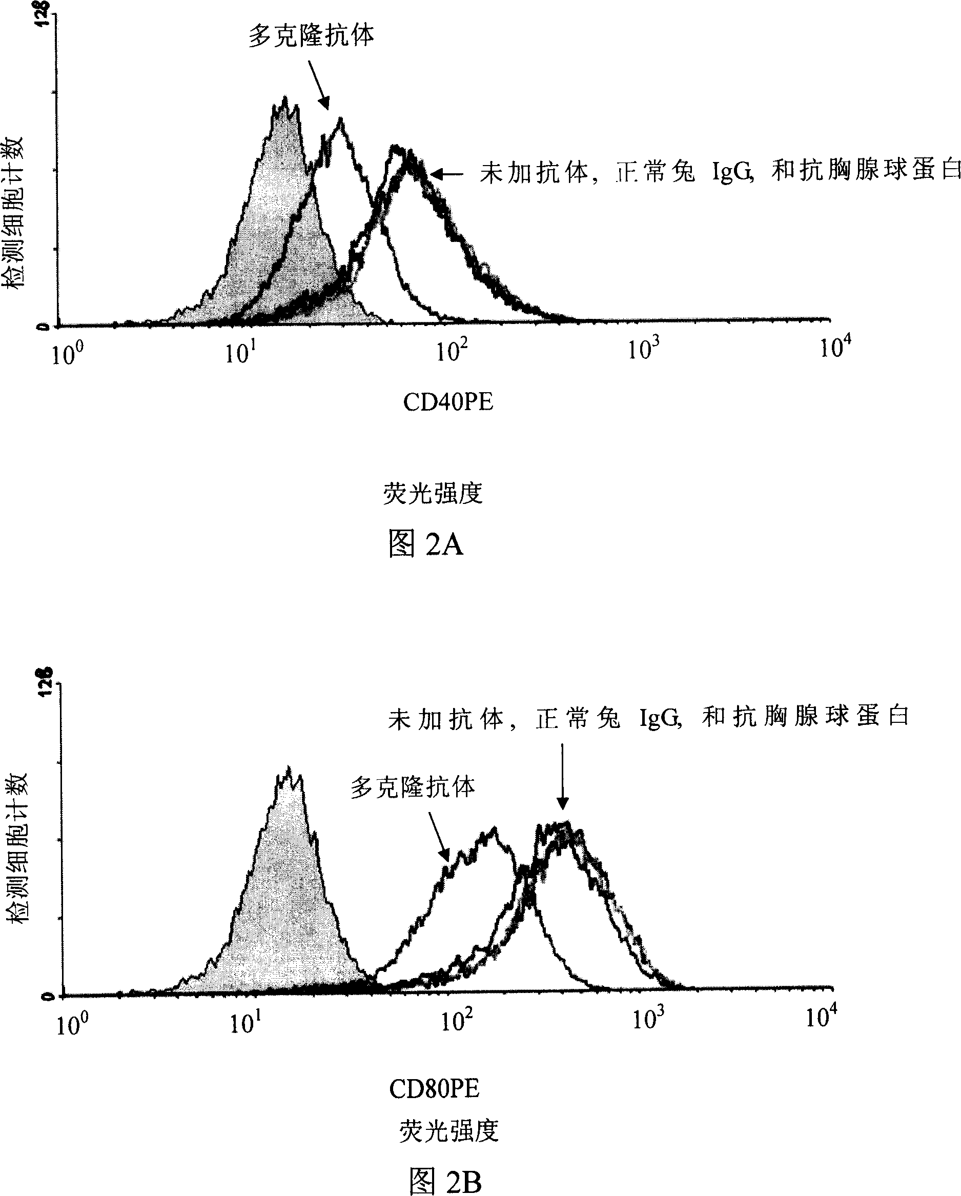 Antigenic composite, multi-clone antibody prepared by it and its application