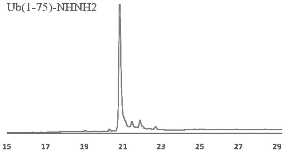 A simple method for the synthesis of ubiquitin probe ub-rho110-gly