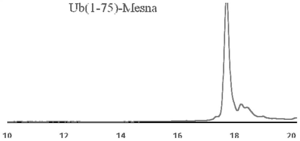 A simple method for the synthesis of ubiquitin probe ub-rho110-gly