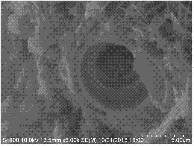 Kieselguhr humidity regulating plate and preparation method thereof