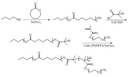 A kind of ph responsive polymer carrier and micelles prepared therefrom, preparation method and application thereof