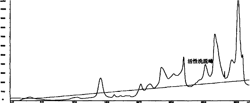 Anti-tumor protein and preparation method and application thereof