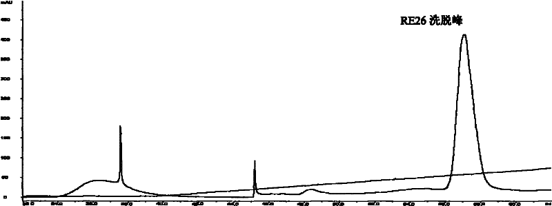 Anti-tumor protein and preparation method and application thereof