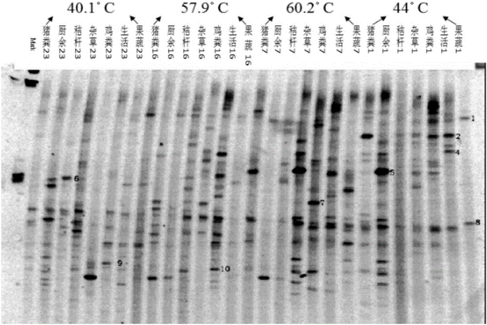 Composting method capable of regulating microbial community structure of unculturable microorganisms