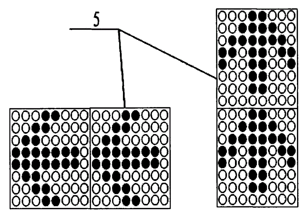 Dynamic traffic signal lamp and display method thereof