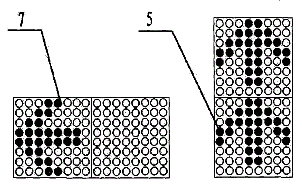 Dynamic traffic signal lamp and display method thereof