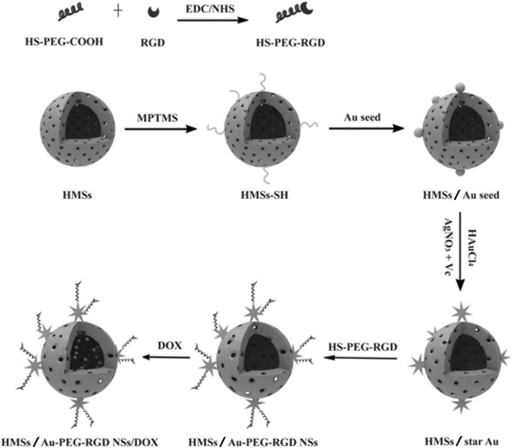 Preparation method of hollow silicon-star gold core/shell nano material for wrapping adriamycin