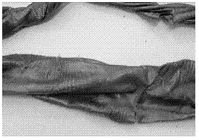 Production method of degreased peanut protein meat