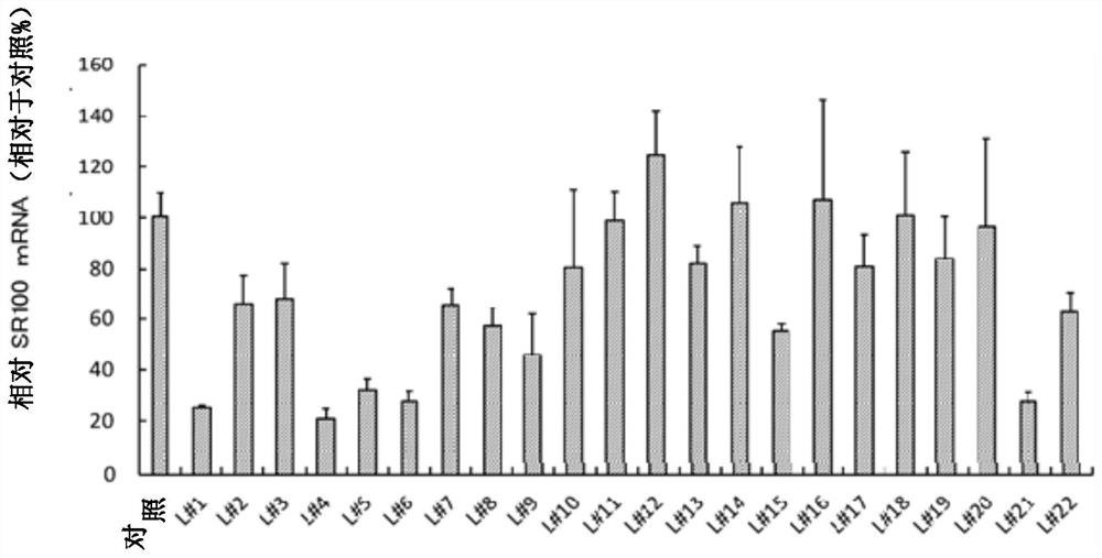 Small cell lung cancer therapeutic agent containing oligonucleotide