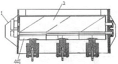 Camellia oleifera sorting and shelling machine