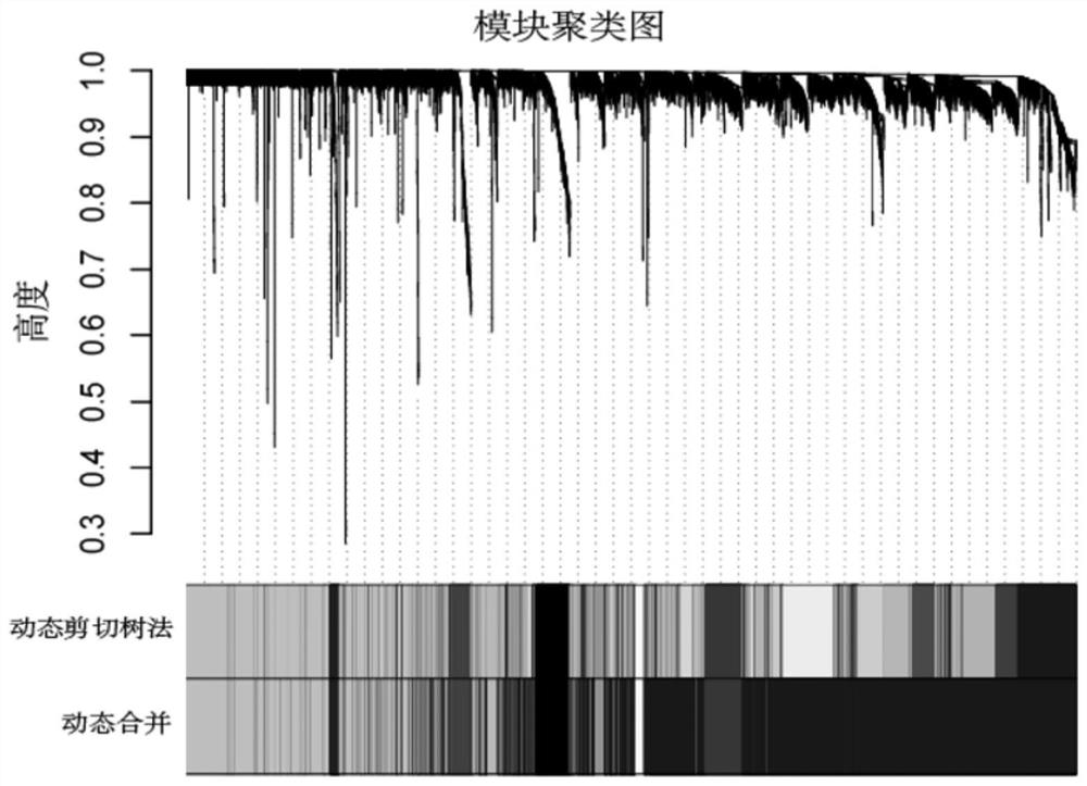 A screening method for multiple myeloma prognostic genes