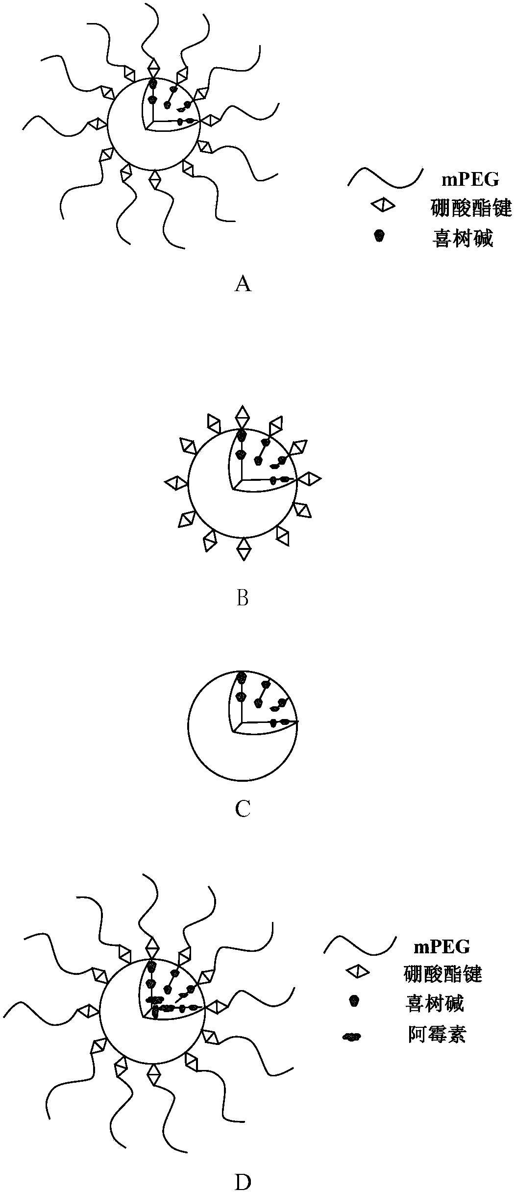 Amphiphilic camptothecin polymer prodrug taking phenylboronic acid ester as connecting unit, as well as preparation method and application thereof