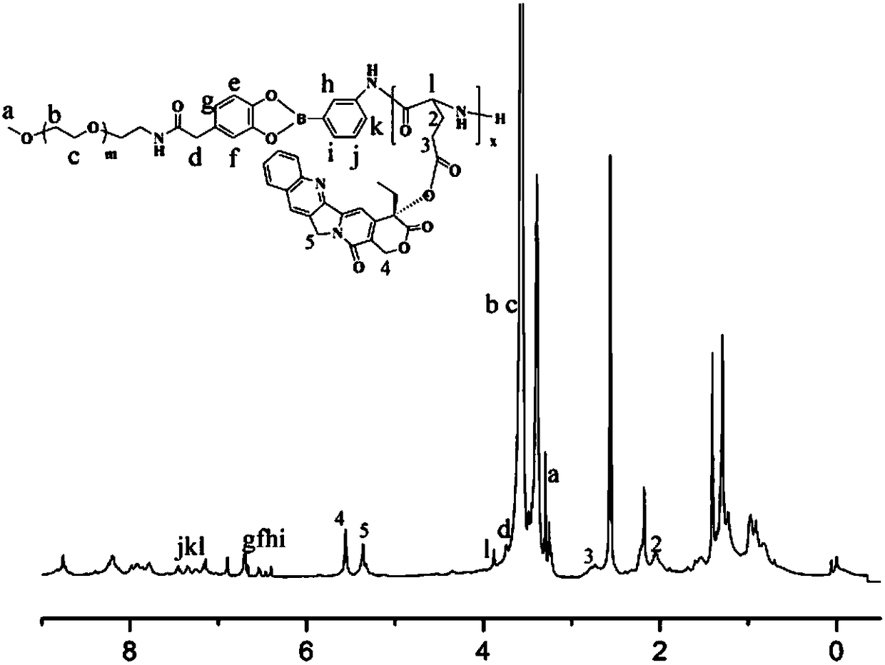 Amphiphilic camptothecin polymer prodrug taking phenylboronic acid ester as connecting unit, as well as preparation method and application thereof