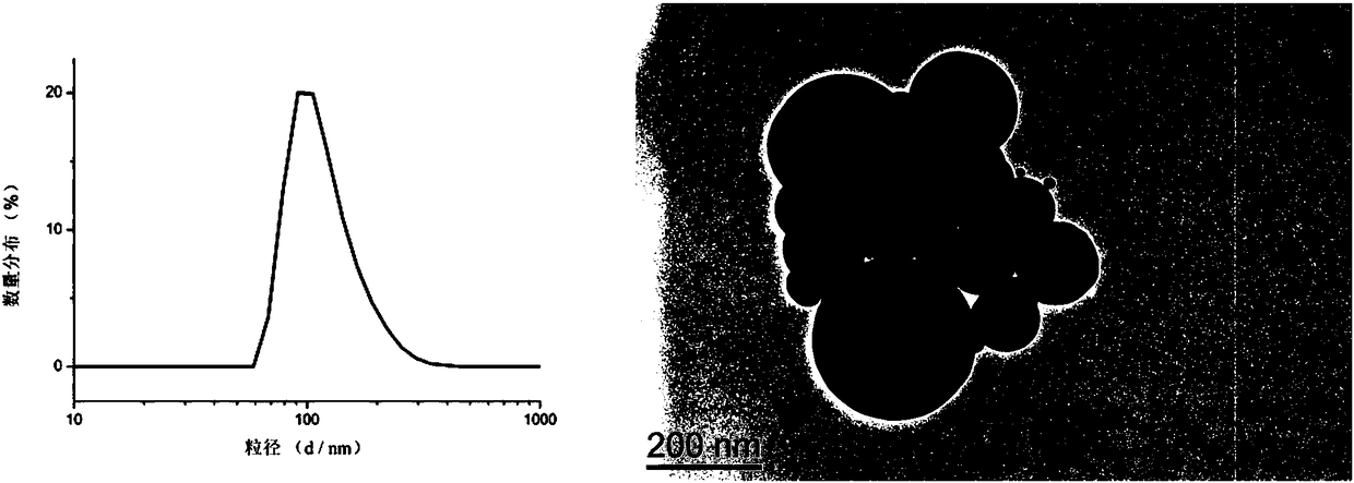 Amphiphilic camptothecin polymer prodrug taking phenylboronic acid ester as connecting unit, as well as preparation method and application thereof