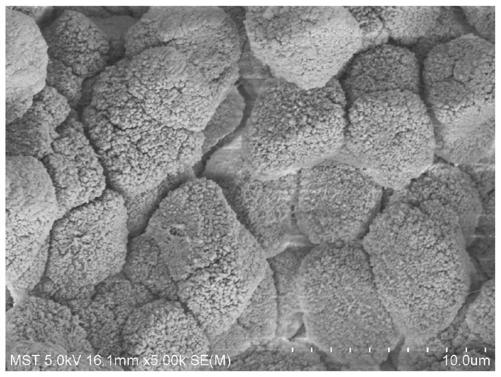 A high-flux polymer separation membrane, preparation method, diluent composition and application