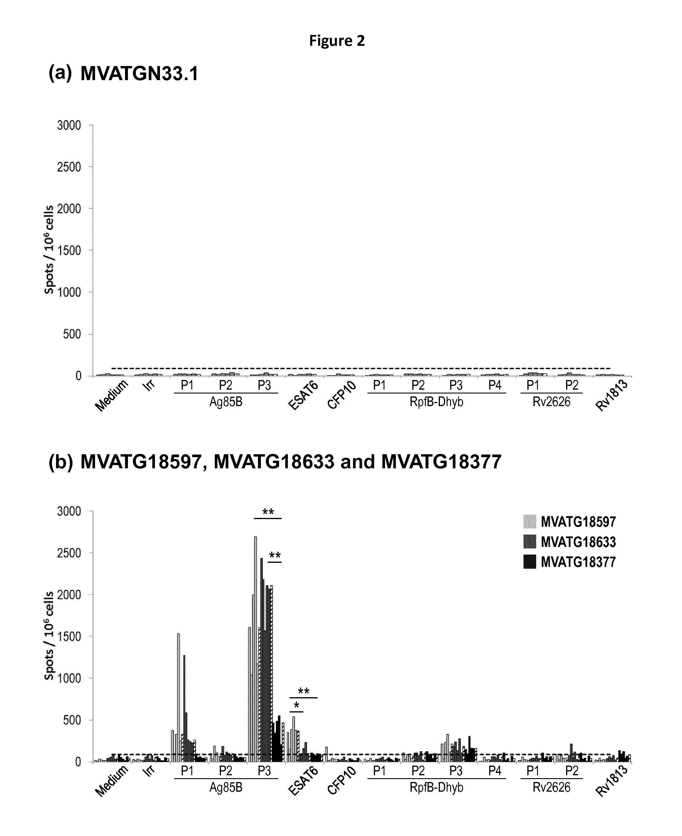 Fusion of Heterooligomeric Mycobacterial Antigens